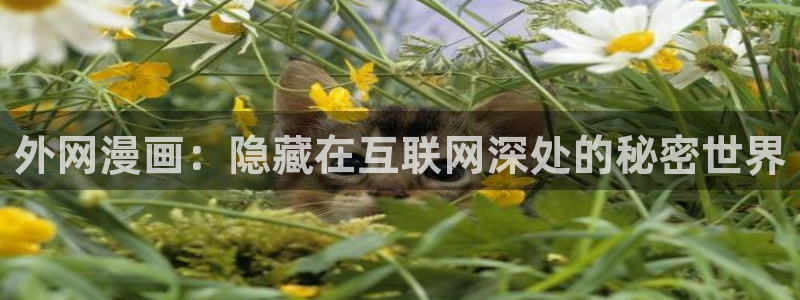 聚合漫画屋下载