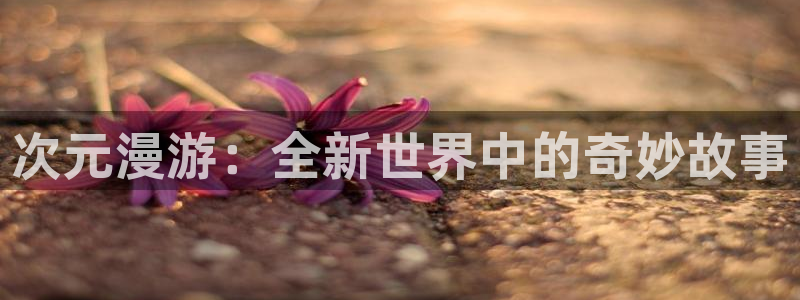 全职法师漫画屋：次元漫游：全新世界中的奇妙故事