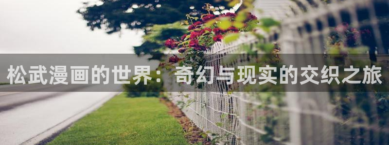 聚合漫画屋网站入口：松武漫画的世界：奇幻与现实的交织之旅